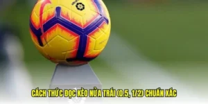 Cách Chơi Kèo Chấp 0.5 Hiệu Quả Và Chính Xác Cho Người Mới Bắt Đầu