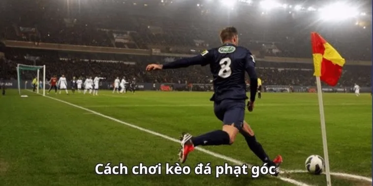 Cách Chơi Kèo Phạt Góc Bóng Đá Hiệu Quả Và Chiến Thuật Tăng Tỷ Lệ Thắng