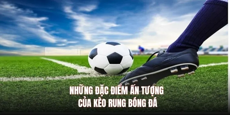 Cách Chơi Kèo Rung Trong Bóng Đá Chi Tiết Cho Người Mới Hiểu Nhanh