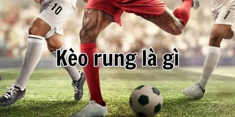 Cách Chơi Kèo Rung Trong Bóng Đá Chi Tiết Cho Người Mới Hiểu Nhanh